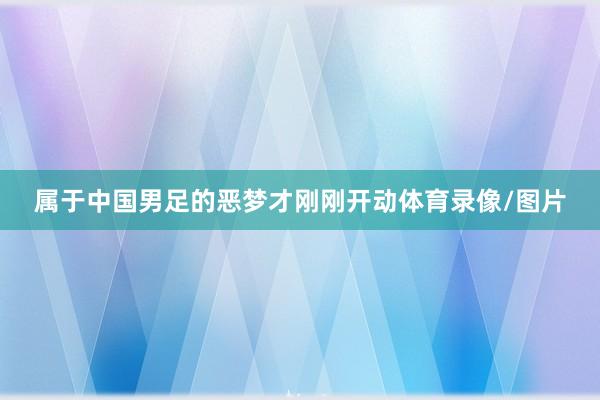 属于中国男足的恶梦才刚刚开动体育录像/图片