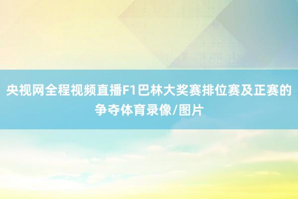 央视网全程视频直播F1巴林大奖赛排位赛及正赛的争夺体育录像/图片