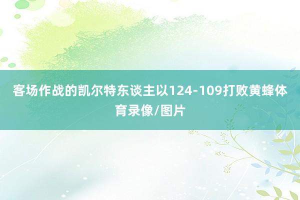 客场作战的凯尔特东谈主以124-109打败黄蜂体育录像/图片