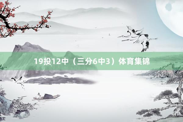 19投12中（三分6中3）体育集锦