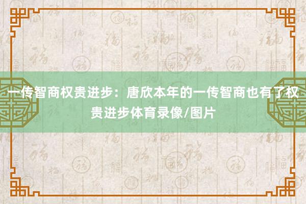 一传智商权贵进步：唐欣本年的一传智商也有了权贵进步体育录像/图片