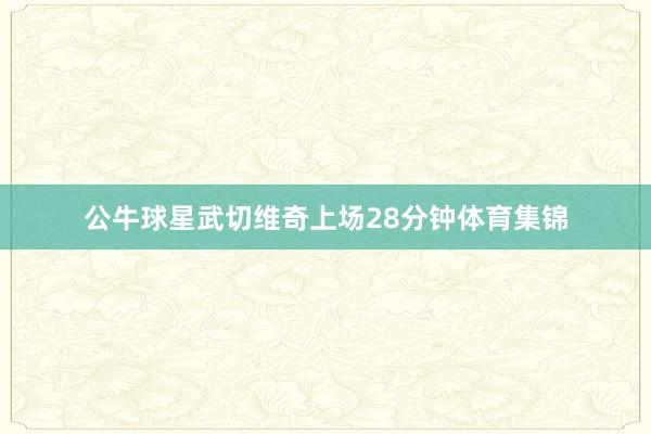 公牛球星武切维奇上场28分钟体育集锦