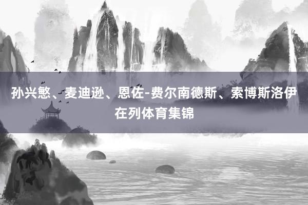 孙兴慜、麦迪逊、恩佐-费尔南德斯、索博斯洛伊在列体育集锦