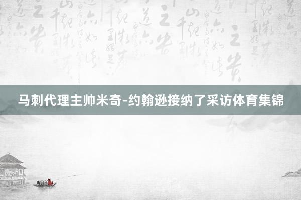 马刺代理主帅米奇-约翰逊接纳了采访体育集锦